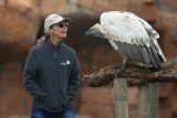 New cycling epic links up with vulture conservation