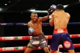 Nontshinga sticks to old division in ring return