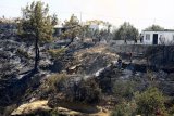 Firefighters battle blazes in Turkey, Greece and Albania