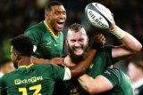 World Rankings: Important permutations for Springboks