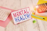 Matric stress? Sadag says mental health comes first