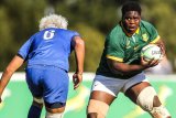 Junior Boks call up Rambo