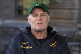 Rassie Erasmus calls on Springbok supporters to fill Wembley for Japan Test