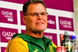 THIS is the Springboks’ Test record against Italy