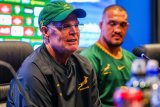 The Springboks’ Test record against Italy – UPDATED