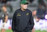 Rassie Erasmus ’emotional’ at death of former Springboks