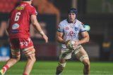 Bulls eye redemption as Reinhardt Ludwig leads the way