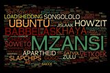 2025’s South African Word of the Year (and what Gen Zs are saying)