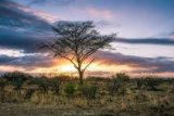 SANParks unpacks rollout of vision 2040
