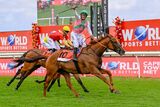 See It Again wins World Sports Betting Cape Town Met