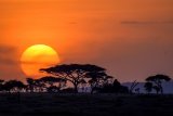 When is the best time to travel to Tanzania?