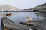 Shark warning as headless whale carcass towed into Hout Bay Harbour