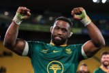 ‘Where’s that spine?’: All Blacks slammed after record loss