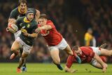 Springboks to finish end-of-year tour against Wales in Cardiff on Saturday