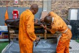 South African parole system records over 50% reoffending rate