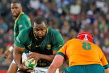 Springboks lose World Rugby No 1 ranking after horror Ellis Park performance