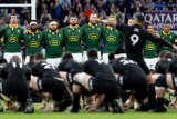 WATCH: Kiwi pundits rave about Springboks… except one