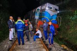 Sri Lanka train derails after smashing into ELEPHANTS (warning)