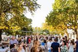 Stellenbosch street soirée: A must-visit event