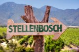 Toddler killed in tragic accident on Stellenbosch wine farm