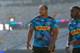 Injury woes force Stormers to consider former Junior Springbok skipper