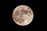 August’s Sturgeon Full Moon: What it means for every zodiac sign