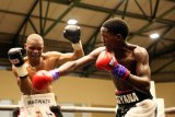 East London boxers too good for Bay rivals