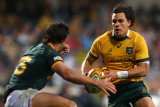 To’omua: Schmidt must play the long game