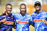 Lions to snap up Stormers speedster