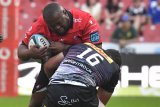 Watch: Asenathi, the Bok with a lion’s appetite
