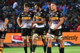 Barbarians call on Stormers bruiser