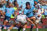 Ludwig: Bulls have big desire to bounce back