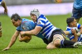 Nel eyes URC starting berth for Stormers