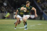 Roos called up to Bok squad
