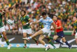 Los Pumas lose playmaker to injury