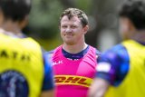 Big guns back for WP as Brannas hits 100