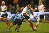 Cheetahs set to roar in Amsterdam again