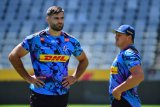 Baa Baas seek out Stormers bruiser