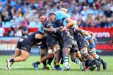 Jake: We can’t play like it’s a Bok trial