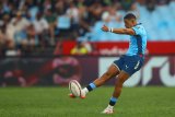 Johannes stars as Bulls subdue Edinburgh