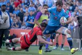 Ackers backs Nortje to lead Bulls in URC