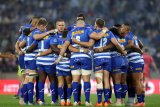 Watch: Sneak peek at Stormers’ new jersey