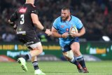 Watch: Wilco overpowers Ox