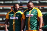 Ox rates Asenathi, Wessels