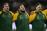 Saracens sniffing around Stormers target?
