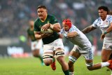 Rassie: Jasper’s four-match ban is fair