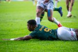 ‘I took Willie’s try’
