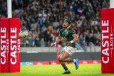Van der Merwe shines for 14-man Boks