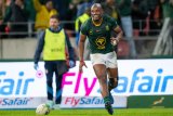 Mapimpi called up to Bok squad
