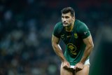 De Allende ready to tame Suaalii in Cape Town showdown